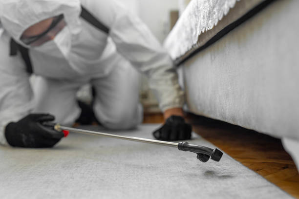 Professional Bed Bug Control technician working in Williamsburg, VA